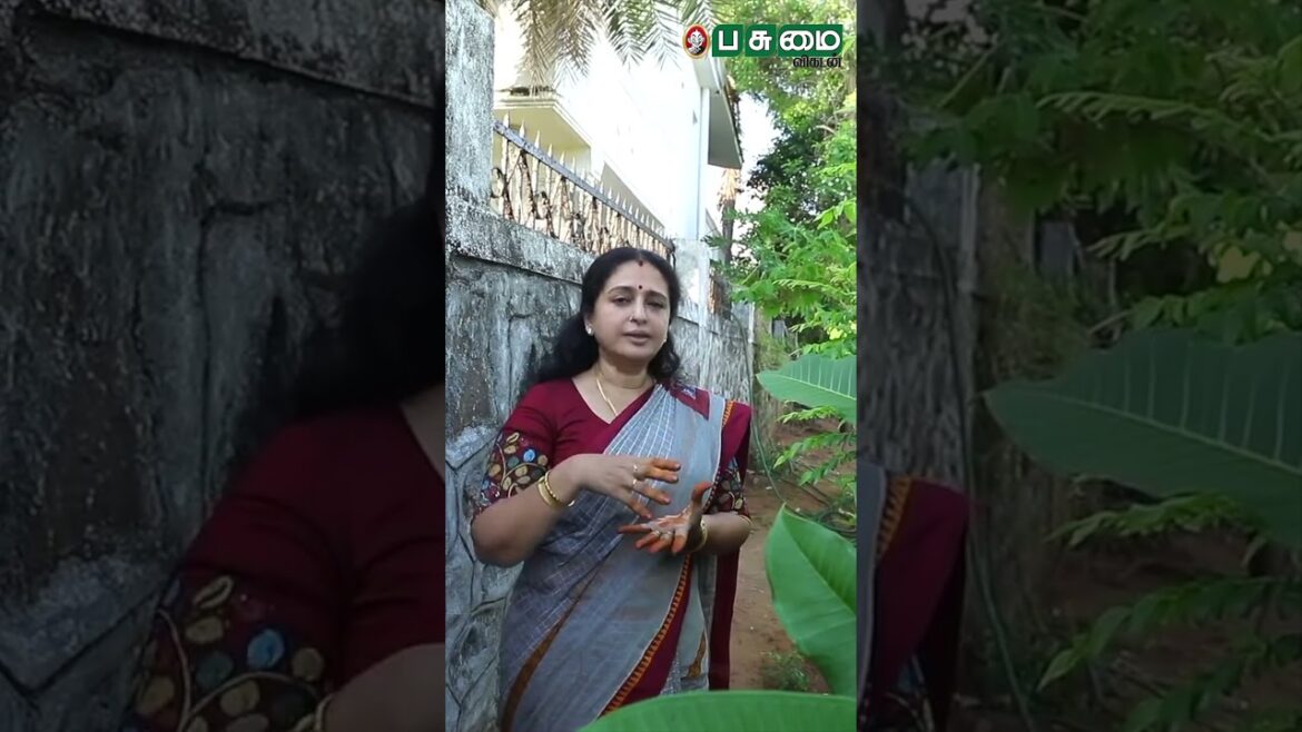 Actress Seetha’s home gardening tips | நடிகை சீதா வீட்டுத்தோட்டம் | #shorts #garden #homegarden Actress Seetha's home gardening tips | நடிகை சீதா வீட்டுத்தோட்டம் | #shorts #garden #homegarden