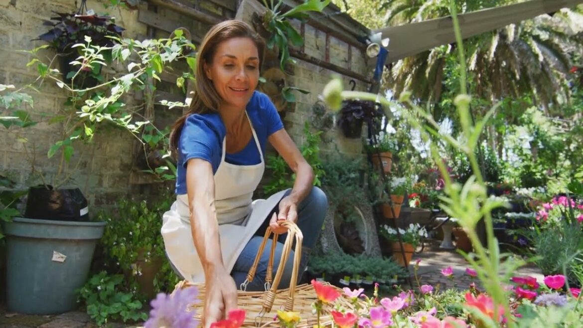 How to start a vegetable garden for beginners How to start a vegetable garden for beginners