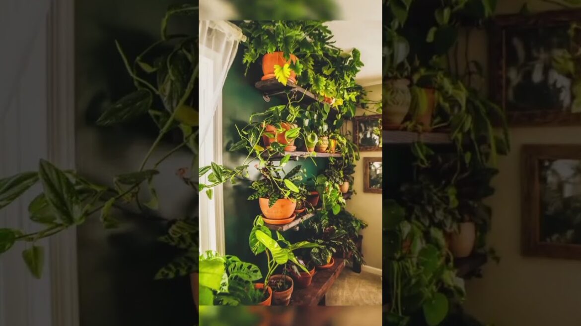 living room decor ideas #shorts #nature #decor