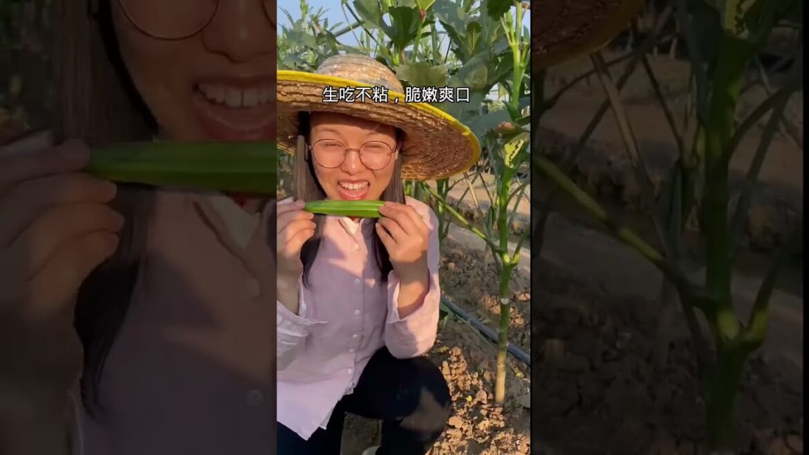 gardening ideas for home/enjoy with my garden