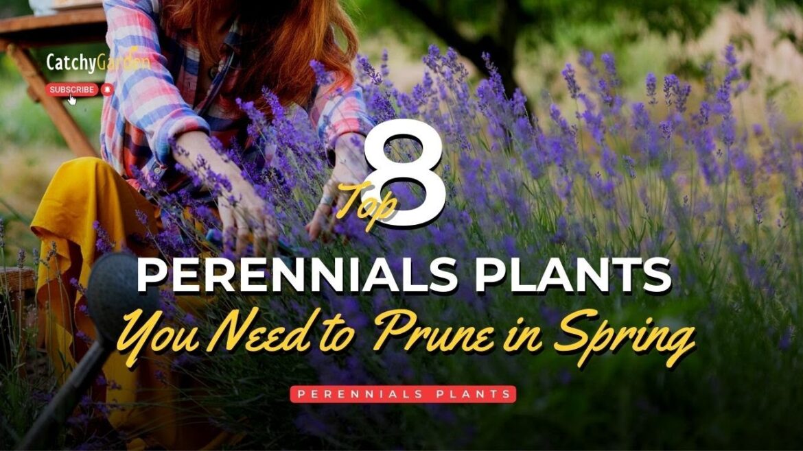Don't Miss Pruning These 8 Perennials This Spring 🌿✂️🌸 // Gardening Tips