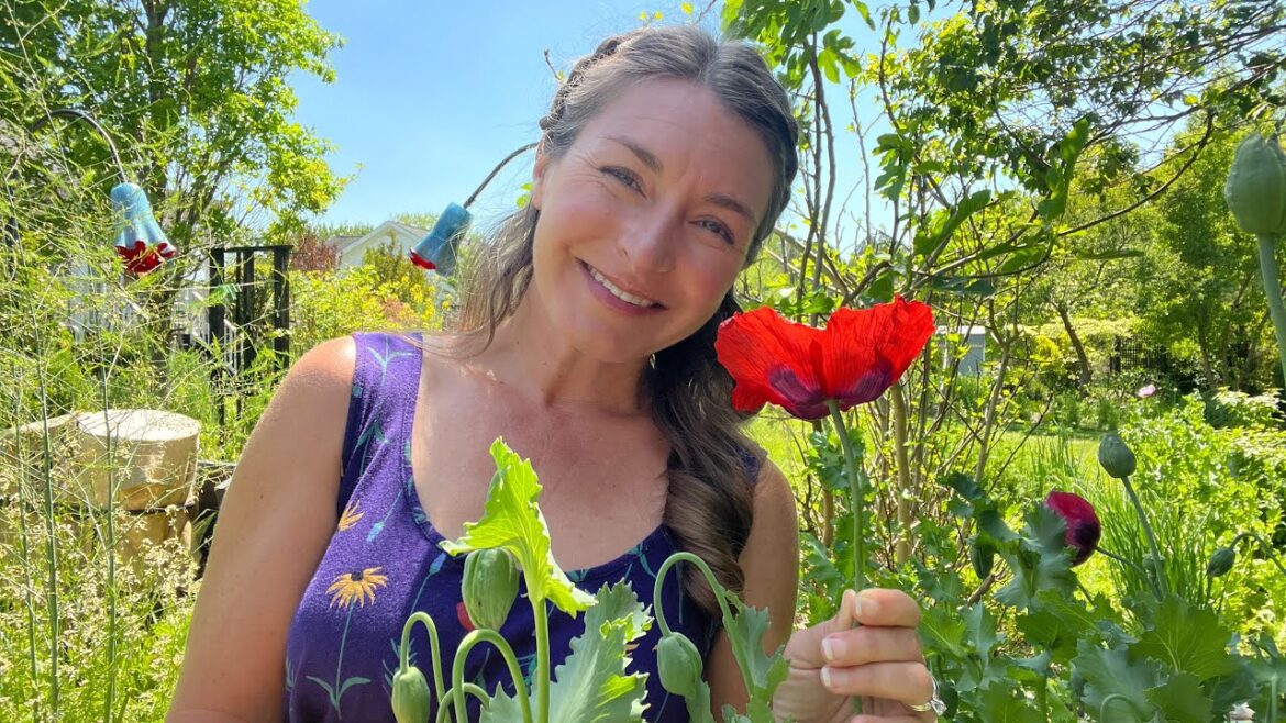 Weekly Garden Tour: part 2 18 April 2023