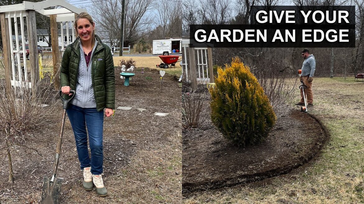 Give Your Garden an Edge – Literally! Why You Should Put an Edge on Your Garden Give Your Garden an Edge - Literally! Why You Should Put an Edge on Your Garden