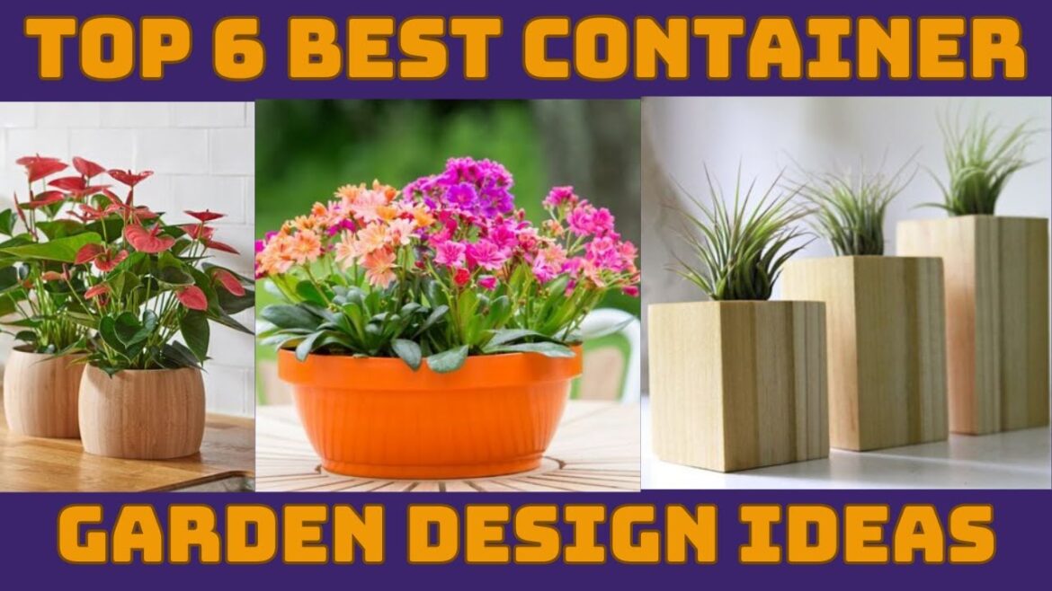 Top 6 Best Container Garden Design Ideas #garden #container