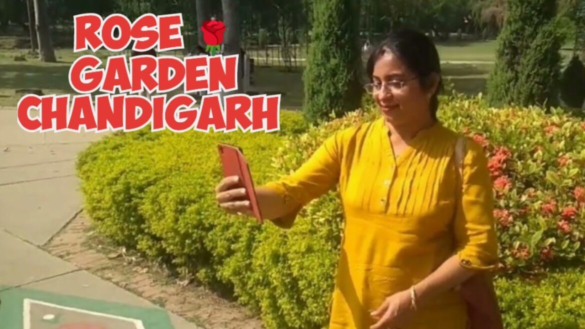 Rose Garden Chandigarh ll rose Garden ll Chandigarh rose Garden
