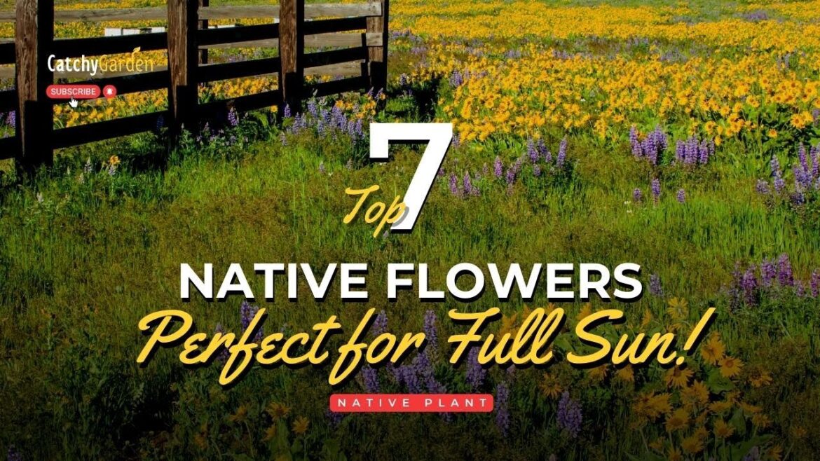 Unbelievable Beauty: 7 Sun-Loving Native Flowers You Have to See // ๐ปโ๏ธ๐ธ Unbelievable Beauty: 7 Sun-Loving Native Flowers You Have to See // ๐ปโ๏ธ๐ธ