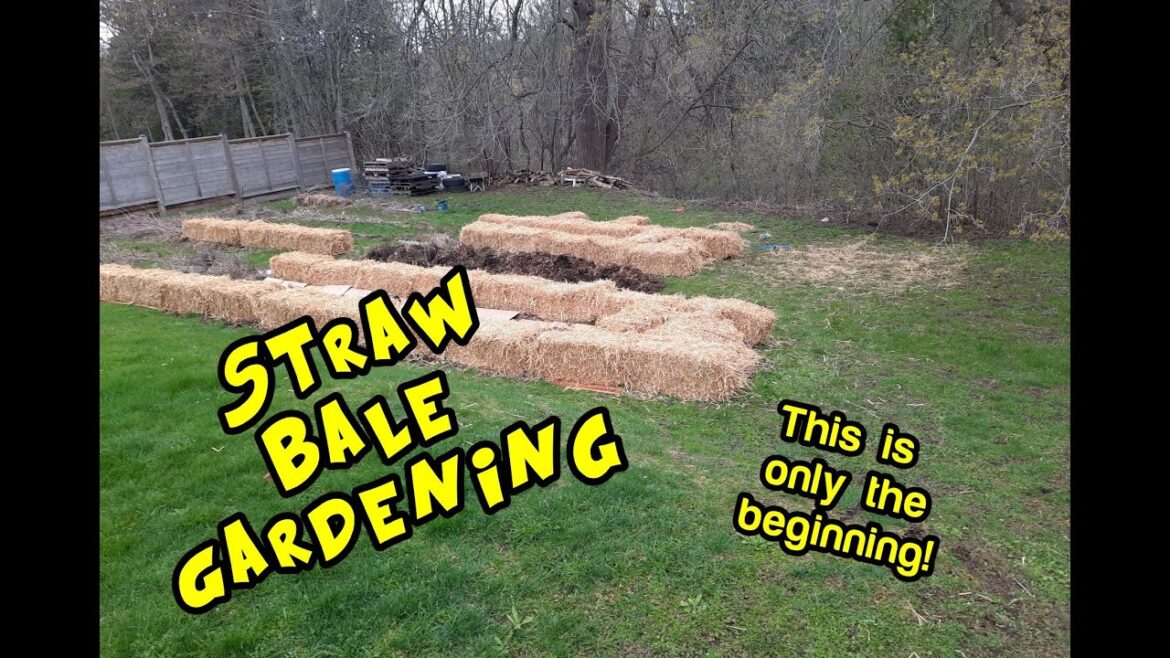 Straw Bale Gardening: Cultivated and Wild Edible Gardening Straw Bale Gardening: Cultivated and Wild Edible Gardening