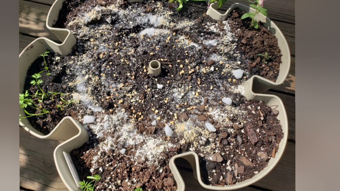 Mid-April Deck Container & Greenstalk Garden Tour + Controlling Pests w/ Natural Products #gardening