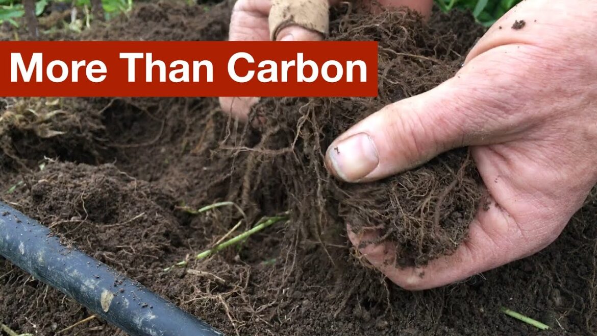 Sequestering More Than Carbon