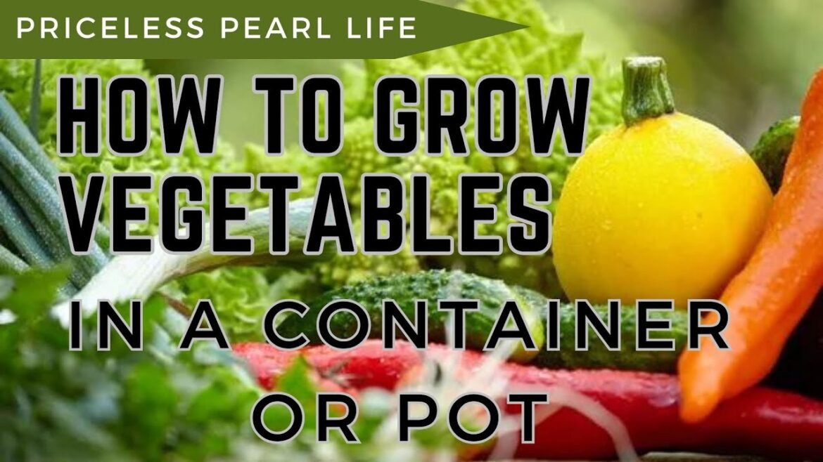 PLANTING | PLANTING IDEAS AT HOME | CONTAINER GARDENING ๐ฉ๐พโ๐พ| HOW TO #containergarden #vegetables PLANTING | PLANTING IDEAS AT HOME | CONTAINER GARDENING ๐ฉ๐พโ๐พ| HOW TO #containergarden #vegetables
