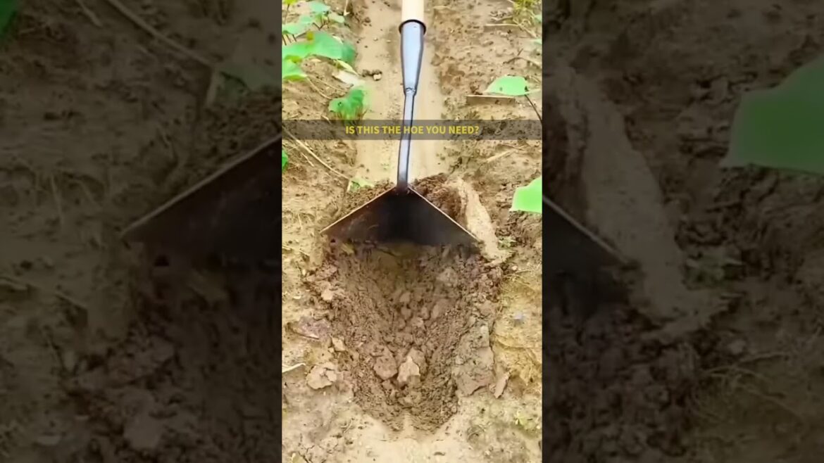 Garden Weeders | Stainless Steel Triangle Hoe is the Garden Answer to your Gardening Questions!