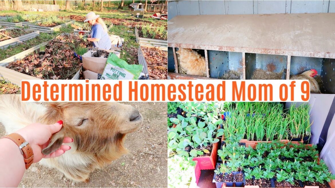 Mega Momma's Homestead Tour and 2023 Garden Plans