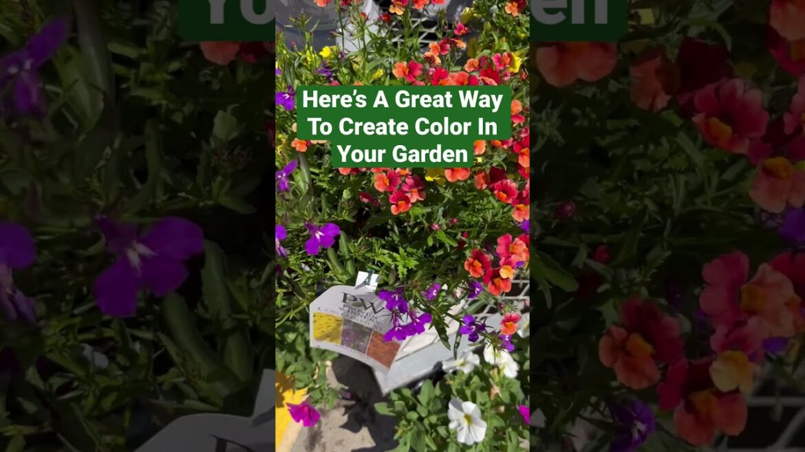 Small Space Gardening: Bringing Your Favorite Flowers To Life In Containers| #containergardening