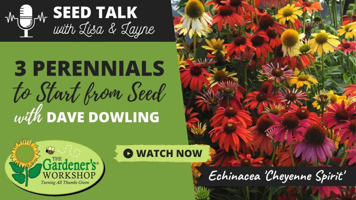 #33 – 3 Perennials to Start from Seed with Dave Dowling #33 - 3 Perennials to Start from Seed with Dave Dowling