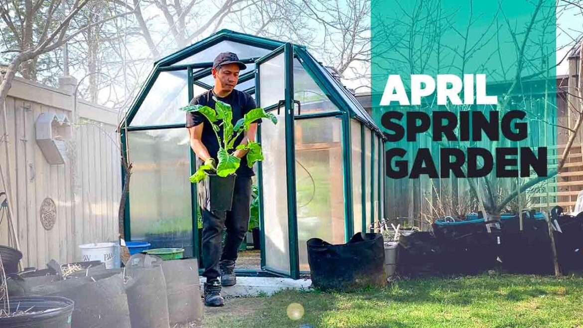 My garden chores for April to make sure that I will have a harvest by May My garden chores for April to make sure that I will have a harvest by May