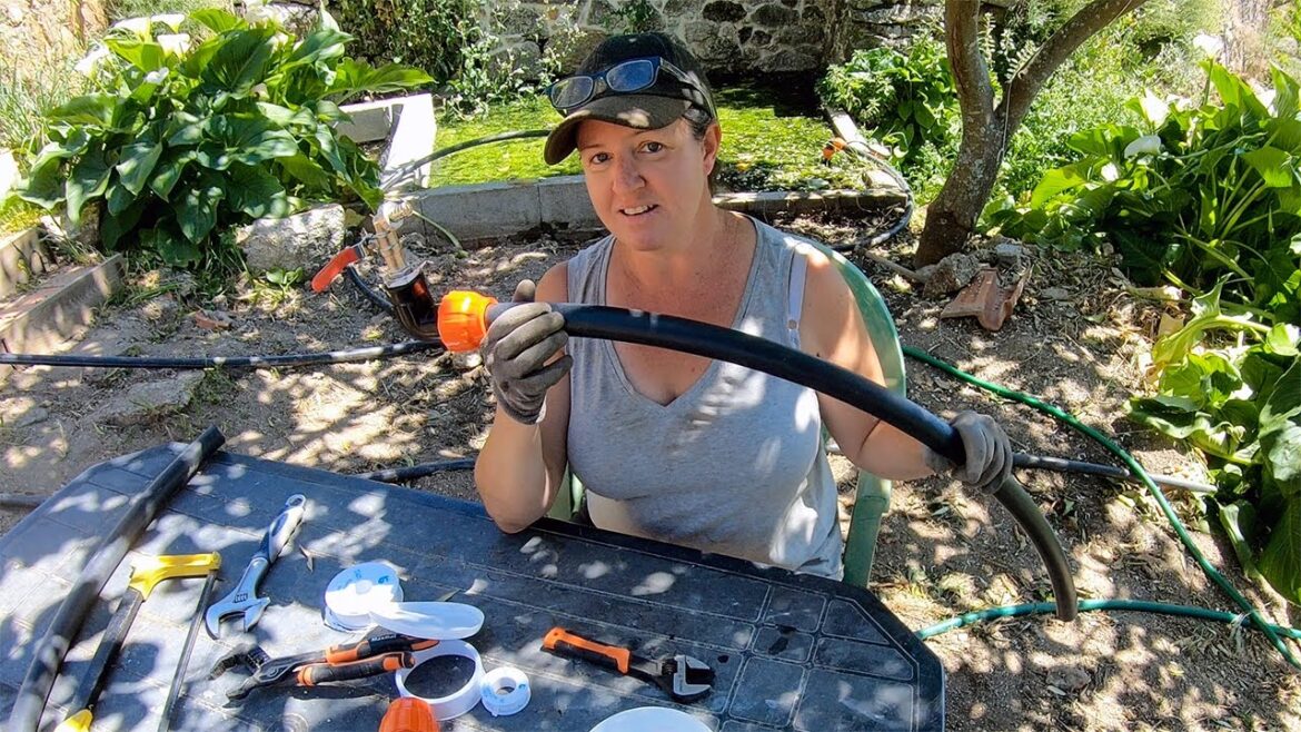 I Did a Bad Thing! My Self Control Needs Work – Off Grid Homesteading I Did a Bad Thing! My Self Control Needs Work - Off Grid Homesteading