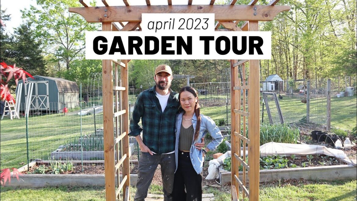 First full homestead garden tour of the year! April 2023, zone 7a // GroundedHavenHomestead First full homestead garden tour of the year! April 2023, zone 7a // GroundedHavenHomestead