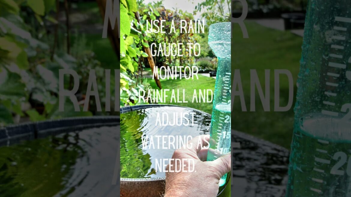 My Top 30 Gardening Tips in 30 Days 🪴 🌿#garden #plants #tips #march31challenge