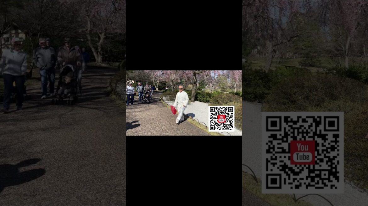 #Shorts Harmony in Motion 😲 Japanese Garden 😊 Cherry Blossoms ★ TaiJi Art of Balance