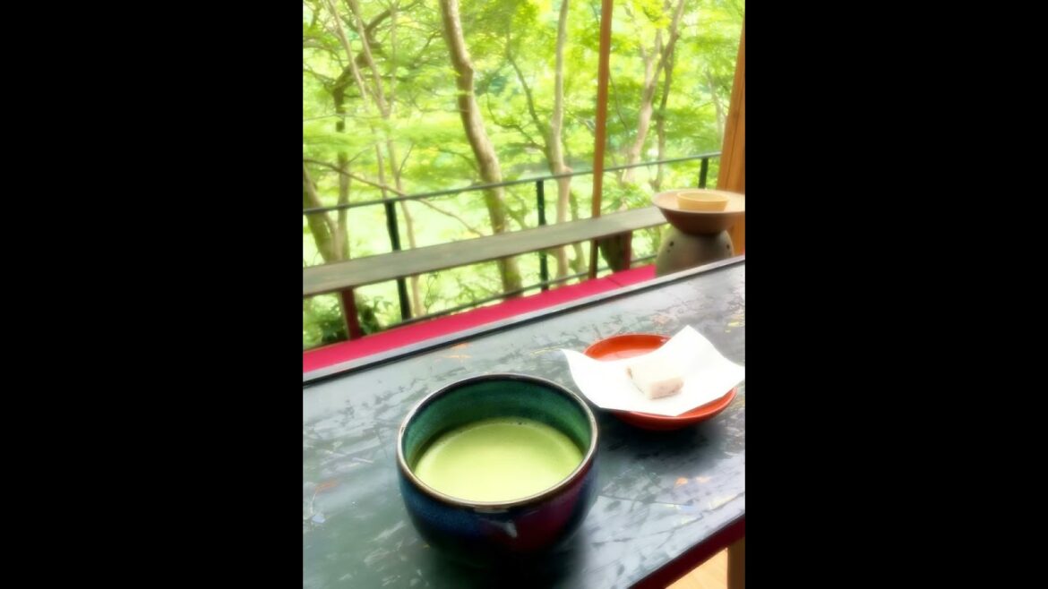 【Japanese Landscape】#shorts #Japan #beautiful #temple #shrine