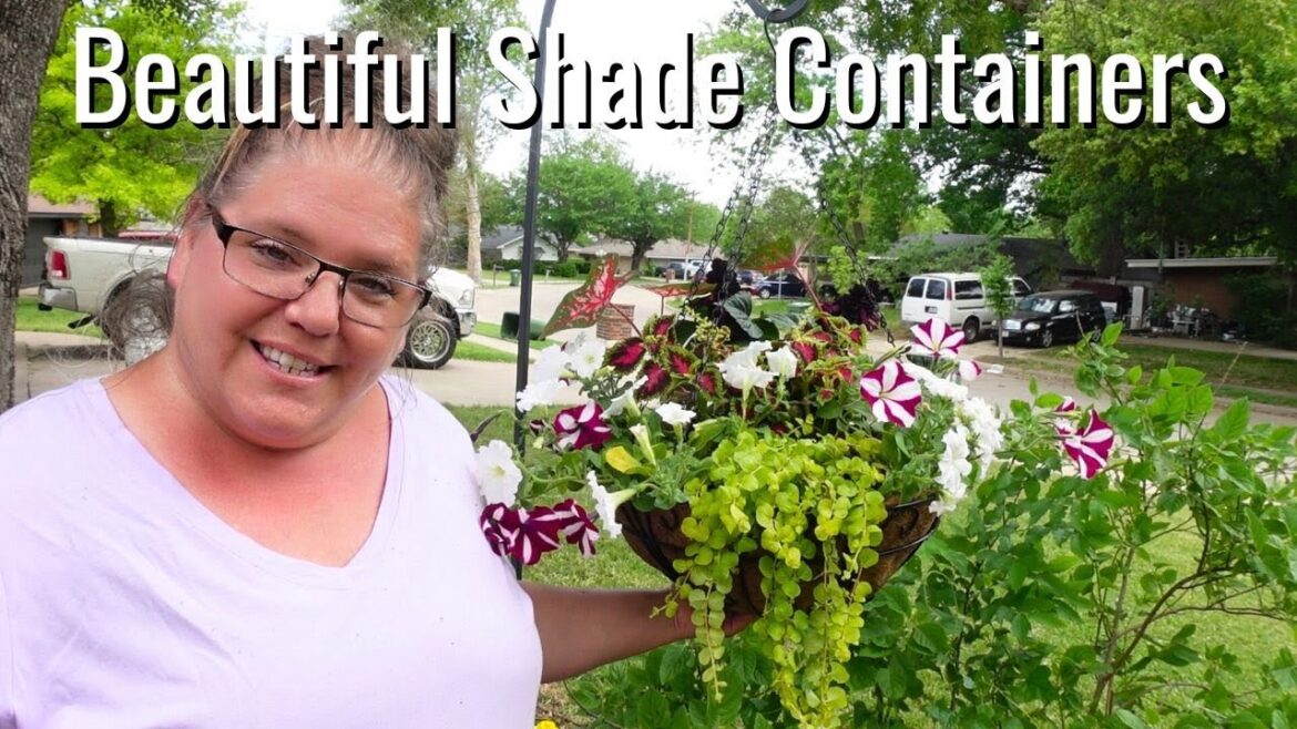 Beautiful SHADE Containers, Inspiration for your GARDEN! Beautiful SHADE Containers, Inspiration for your GARDEN!