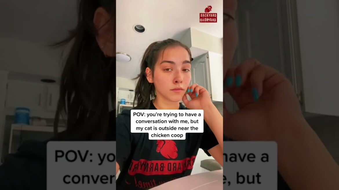 🐔 But my cat is outside near the chicken coop! 🐔 But my cat is outside near the chicken coop!