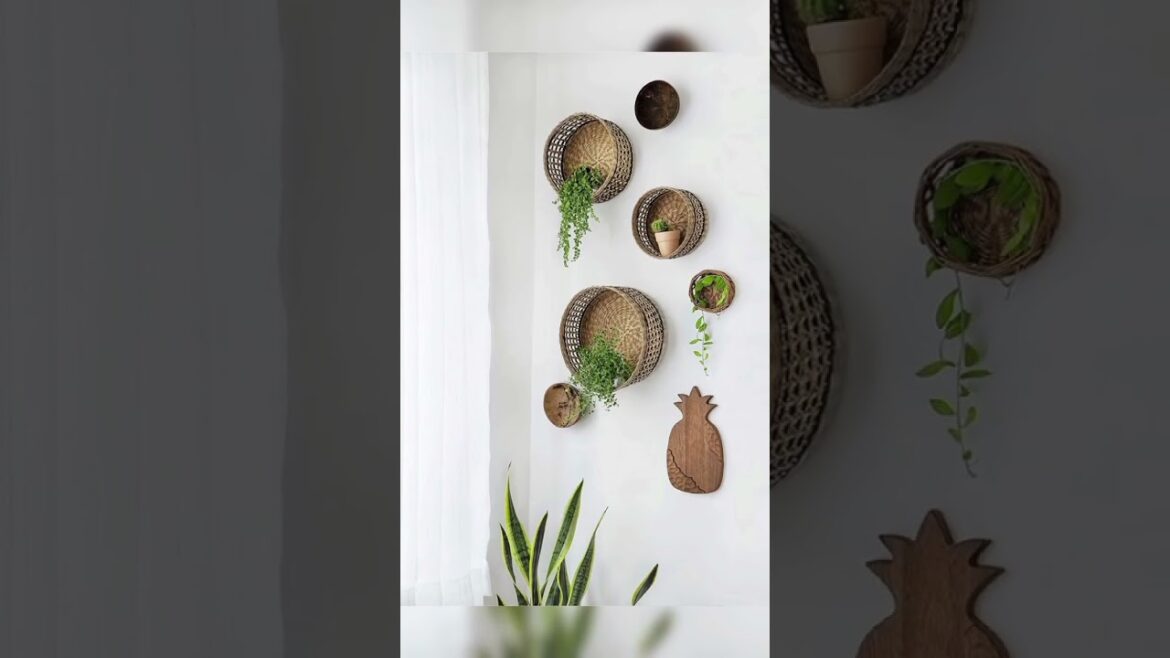 plant decor ideas #shorts #nature #decor