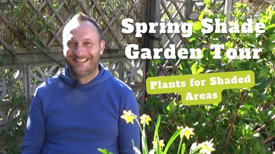 Shade Garden Ideas & Tour | Shade Plants and Flowers | Plants for Shaded Areas | What Grows in Shade