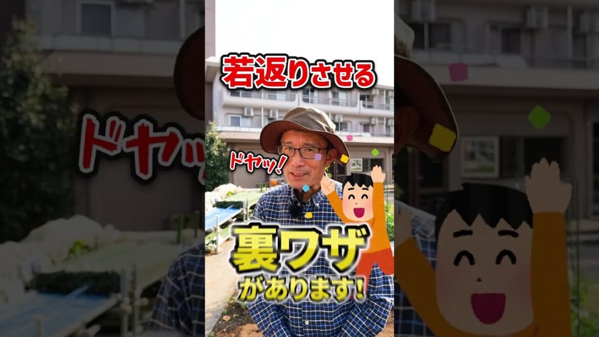 家庭菜園や農園の夏野菜栽培は苗植えの前に根を切断!?【農家直伝】#shorts /Tips for root cutting of seedlings. 家庭菜園や農園の夏野菜栽培は苗植えの前に根を切断!?【農家直伝】#shorts /Tips for root cutting of seedlings.