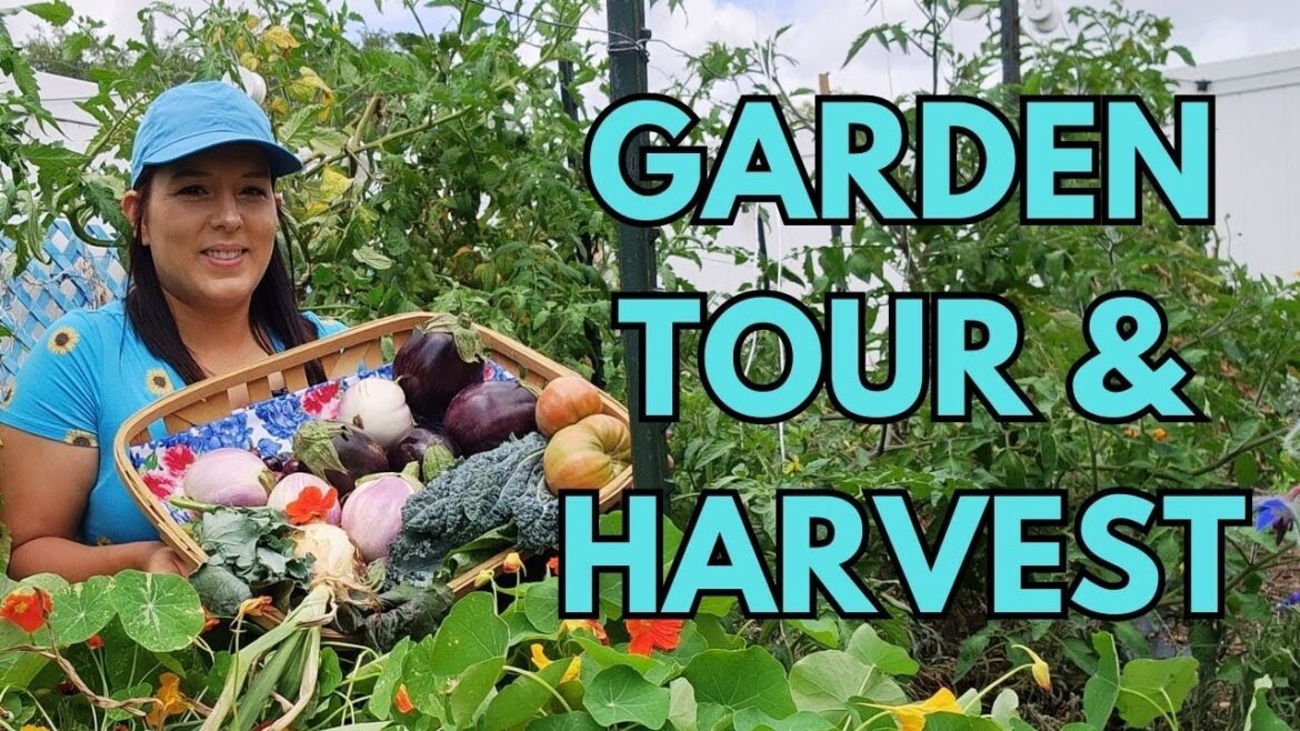 April Garden Tour & Spring Harvest #gardentour #vegetablegarden #harvest  #garden #growyourownfood