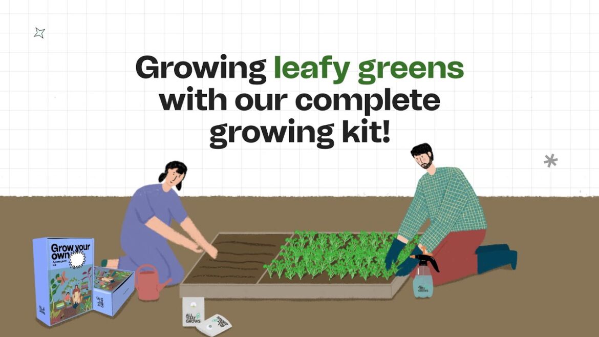Growing Salad Greens Made Easy with All-Inclusive Growing Kit
