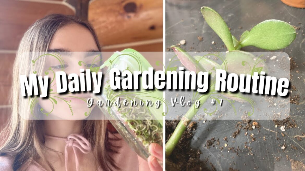 Gardening Vlog #7 | BATTLING APHIDS, STARTING SPROUTS, AND REPOTTING MY JADE PLANT Gardening Vlog #7 | BATTLING APHIDS, STARTING SPROUTS, AND REPOTTING MY JADE PLANT