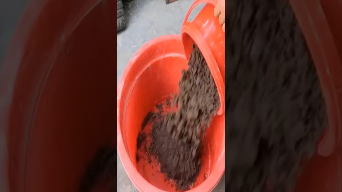 Beautiful Garden Ideas, How To Make A Beautiful Flower Garden Form Plastic Bottles #shorts