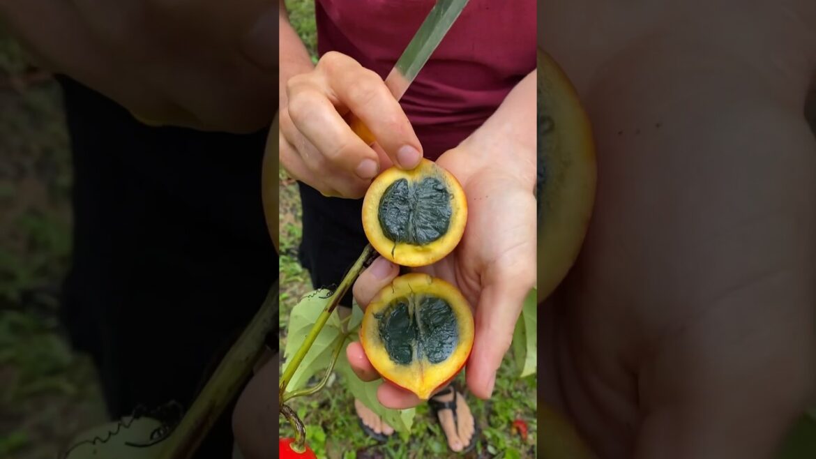 Green Smoothie Fruit