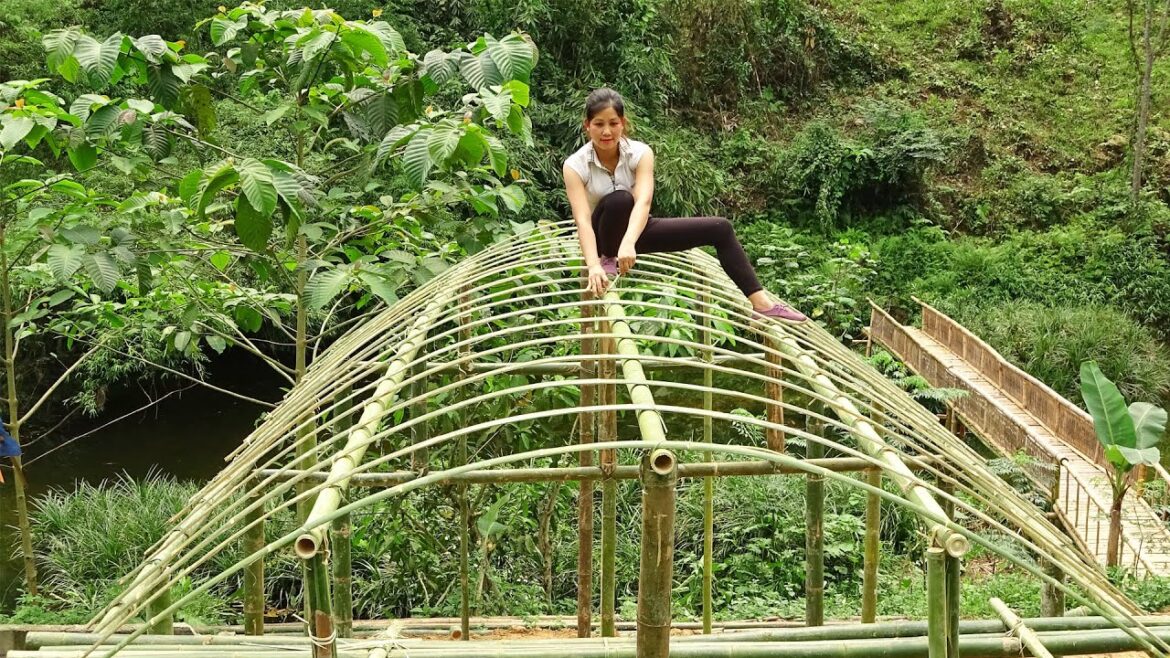 Ut's Farm: Build net house to grow clean vegetables, Farming life, vegetable gardening