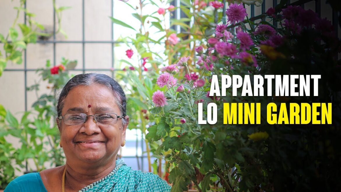 APPARTMENT BALCONY LO MINI GARDEN || BALCONY GARDEN IDEAS #VLOG1