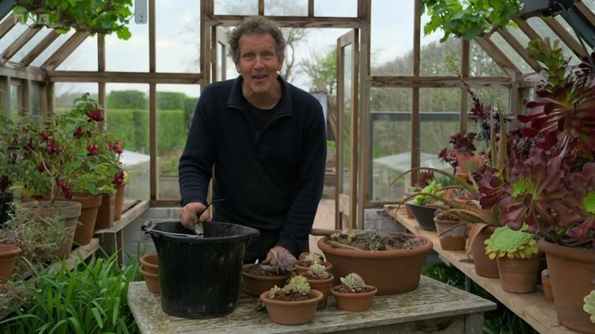 Gardeners' World 2023🍀 Episode 4