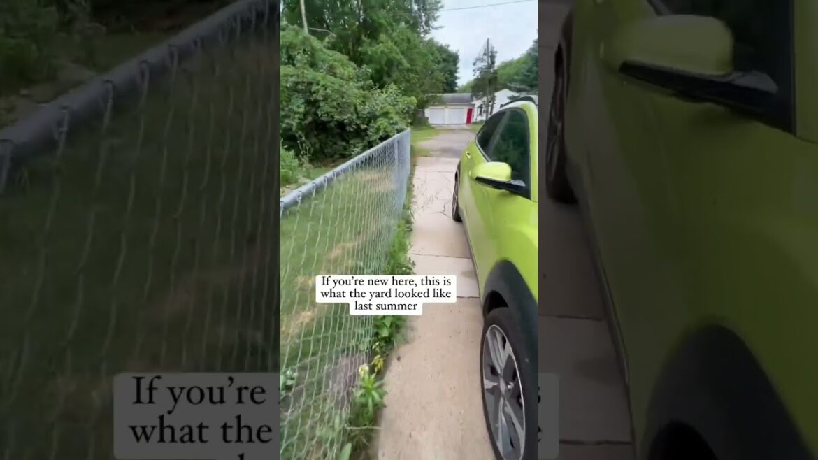 #backyardmakeover #pool #poolinstall #summer #outside #landscaping #ideas #diy #budget #fence