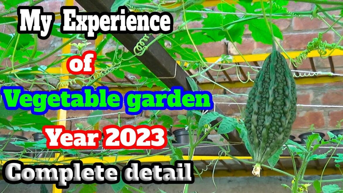 What do you feel when you are in a garden | What is the best way to describe a garden  My Experience