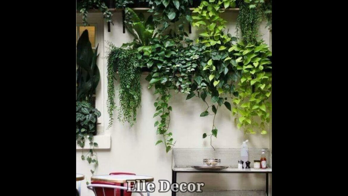 Nice garden ideas for your home