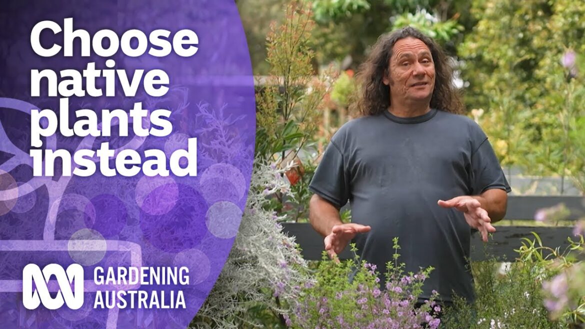 Try planting these native plants instead of weeds | Australian native plants | Gardening Australia Try planting these native plants instead of weeds | Australian native plants | Gardening Australia