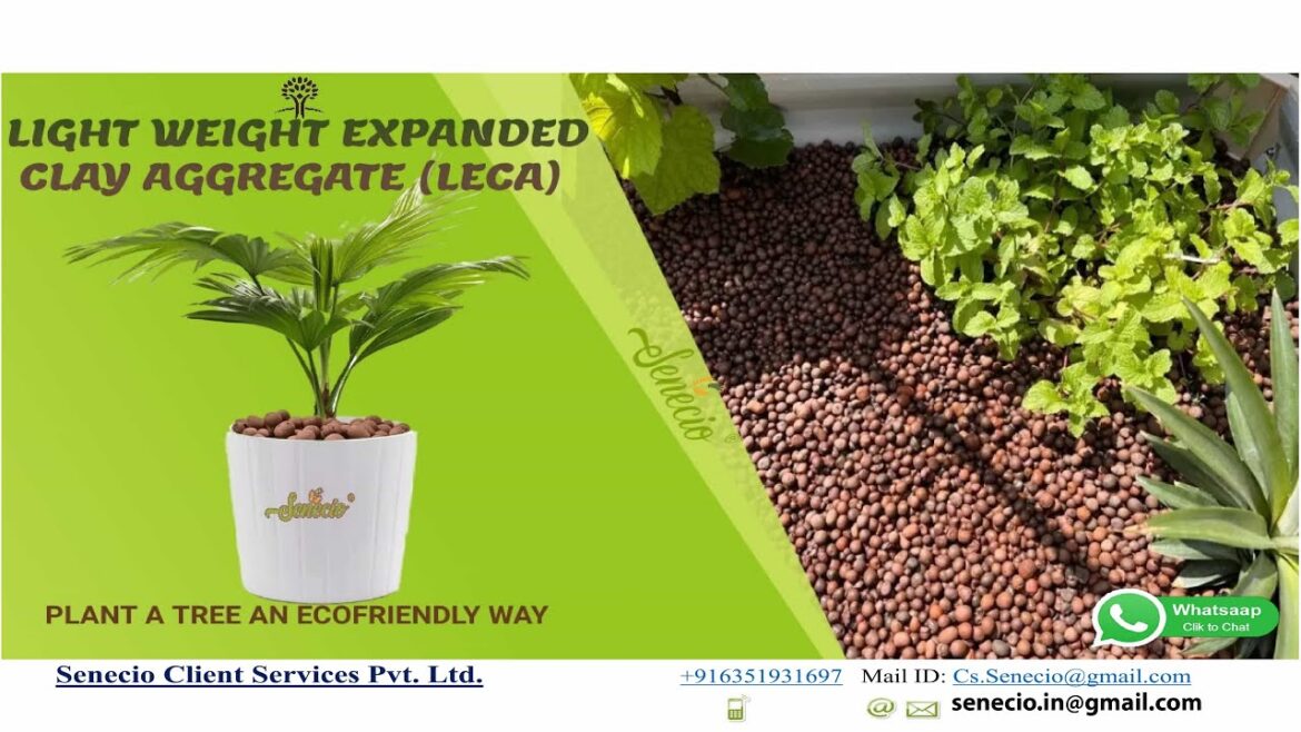 SENECIO_WHOLESALE🌱What’s LECA? लेका🌱LIGHT WEIGHT EXCLUSIVE CLAY AGGREGATE USE PEBBEL Hydroponic BALL SENECIO_WHOLESALE🌱What's LECA? लेका🌱LIGHT WEIGHT EXCLUSIVE CLAY AGGREGATE USE PEBBEL Hydroponic BALL