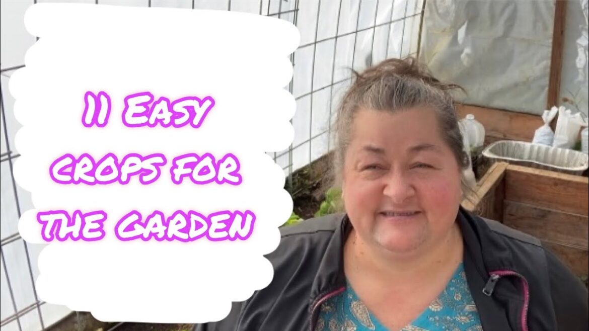 Vegetable Gardening for Beginners π
π₯π₯π₯¬π» Vegetable Gardening for Beginners π
π₯π₯π₯¬π»