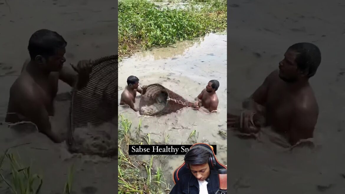 कैसे बनते हैं मकाने 🔥 #shorts #viral #reaction #diy #txtreaction @MrBeast कैसे बनते हैं मकाने 🔥 #shorts #viral #reaction #diy #txtreaction @MrBeast