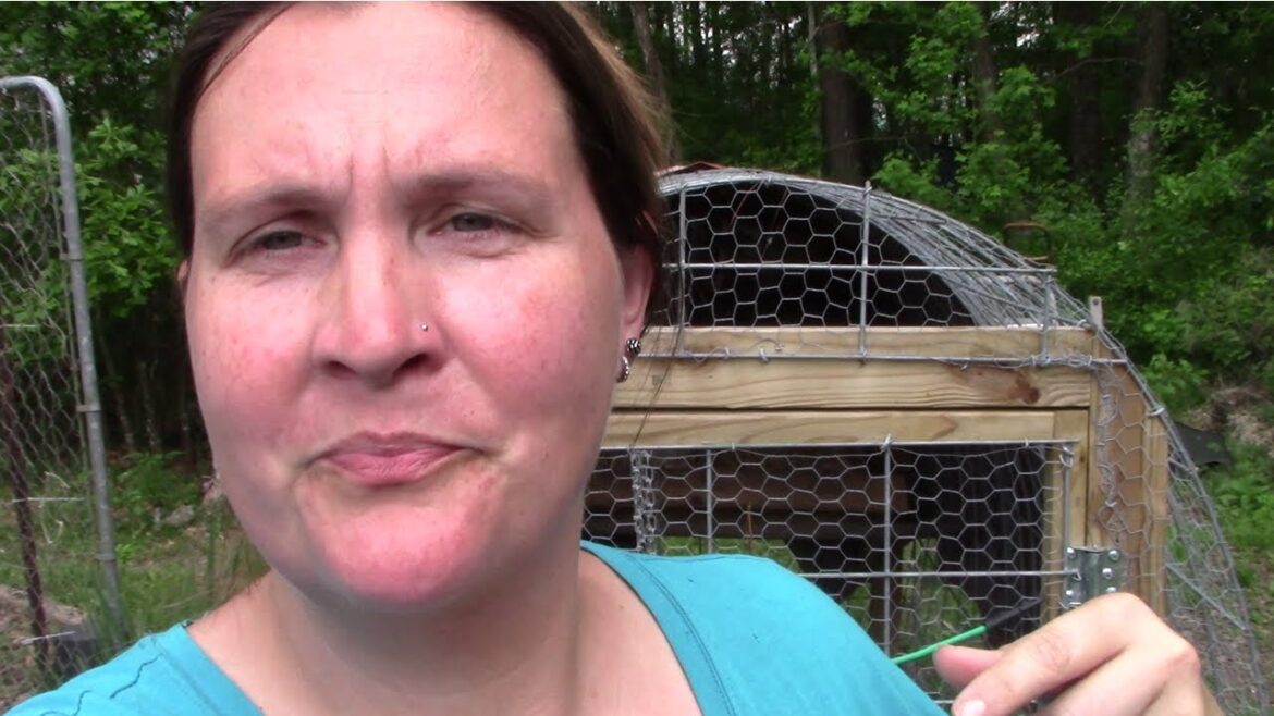 HELP! Unplanned BABIES!