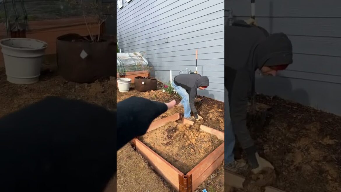 Home Gardening Construction Update - Raised Garden Bed and Sitting Area