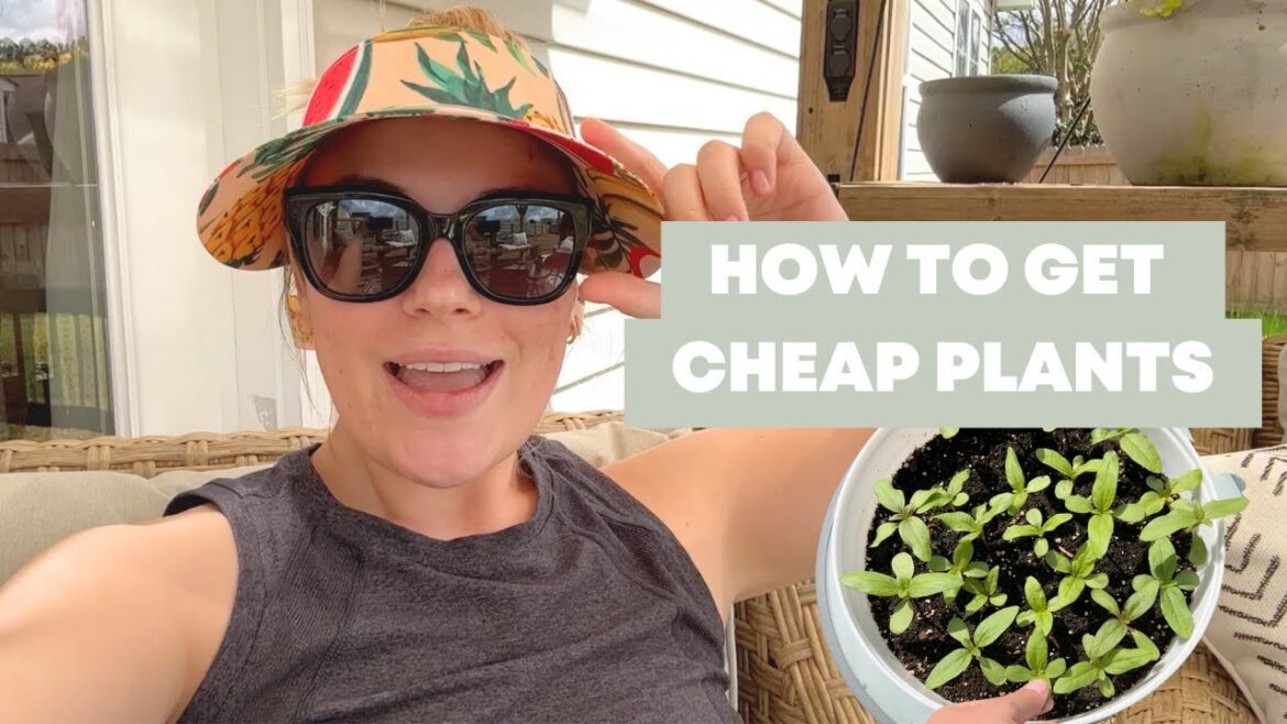 PLANNING A NEW BACKYARD GARDEN | BACKYARD MAKEOVER VLOG 1