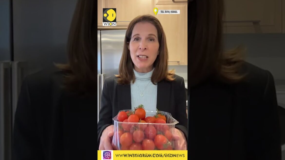 Drought-proof tomatoes developed by Israeli scientists