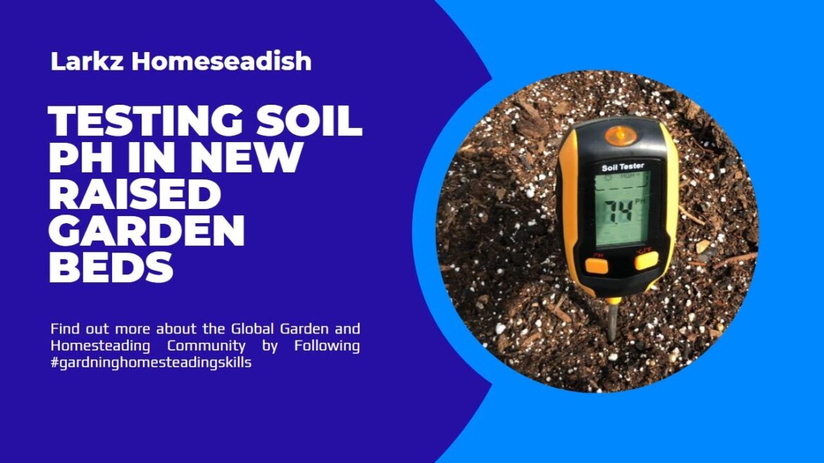 Raised Garden Beds - checking pH and Plans to amend