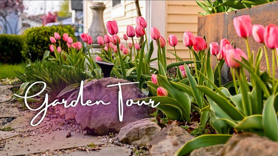 Tulips are blooming, Birds are chirping and the Weeds are thriving! Garden Tour
